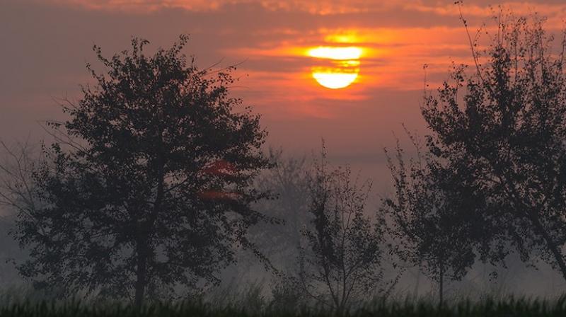 Punjab Weather Update