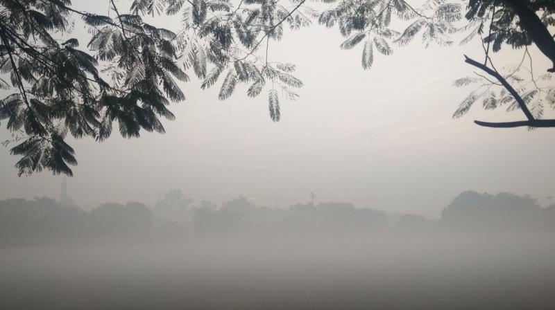 Punjab Weather Update news