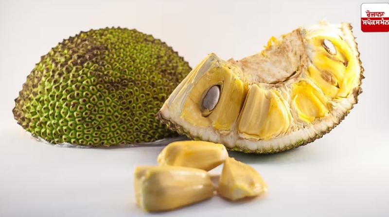 Include ripe jackfruit in your diet Health News