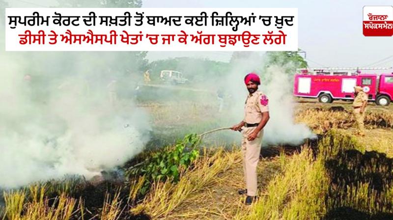 Stubble Burning News