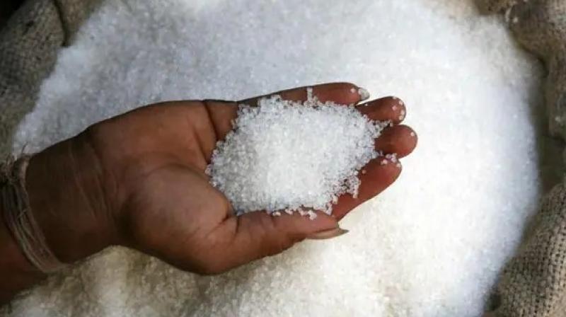 Sugar output down 11% at 74 lakh ton during October 1-December 15 of 2023-24 market year