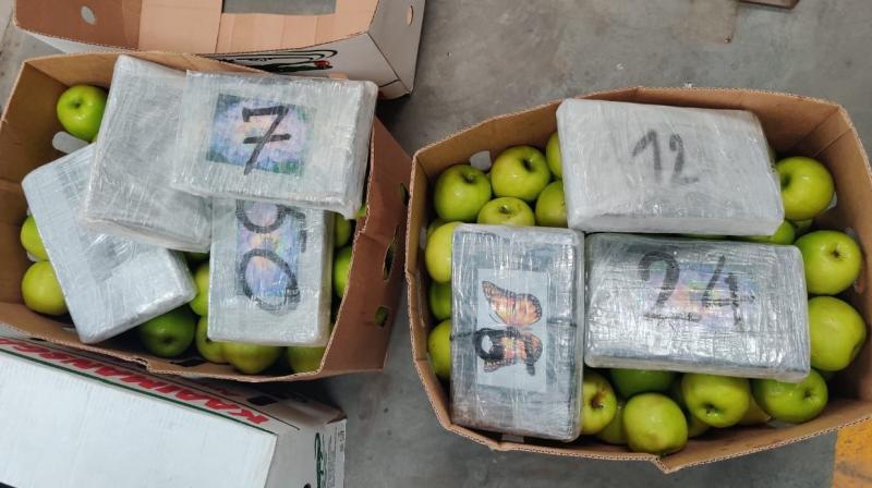 Cocaine worth 502 crore seized from Mumbai's Nahwa Sheva port