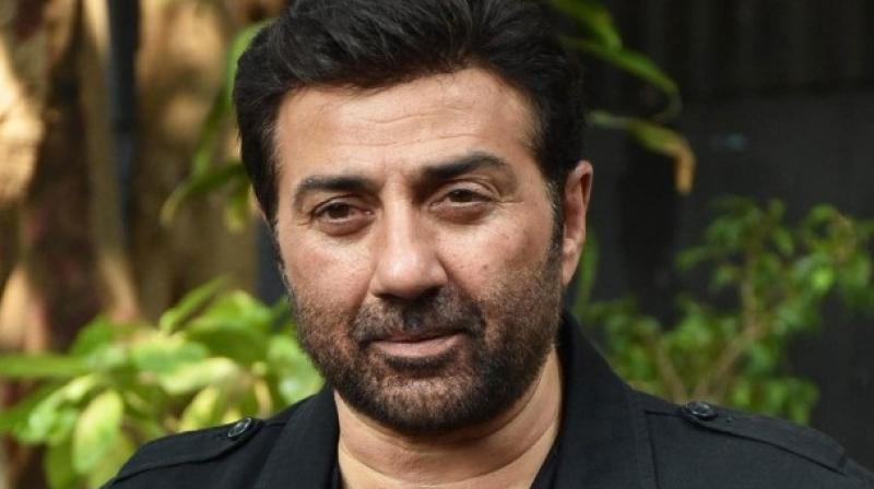 sunny deol