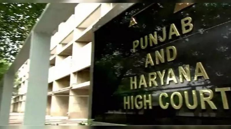 Punjab and Haryana High court
