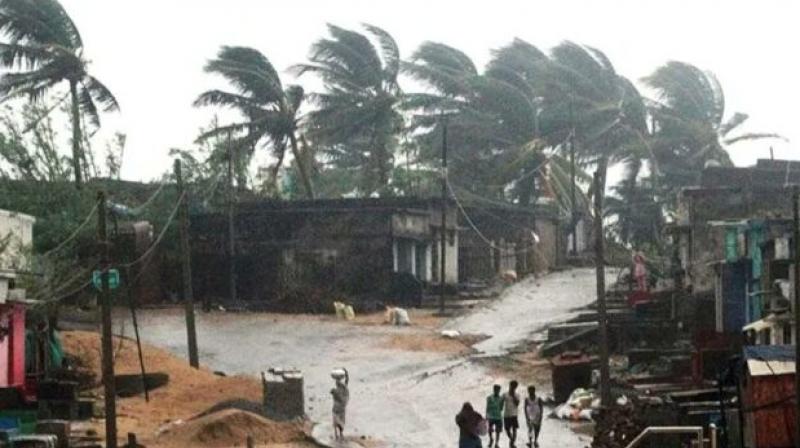 1.75 lakh acres of crops damaged in Odisha due to cyclone and rain