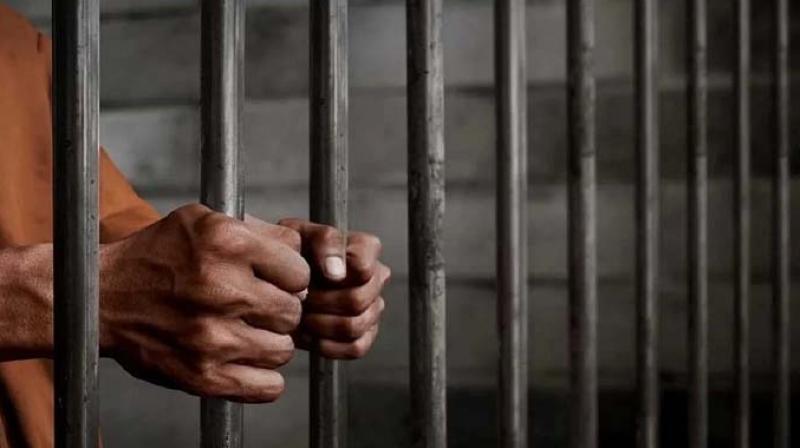 Life imprisonment for the son who murdered his mother