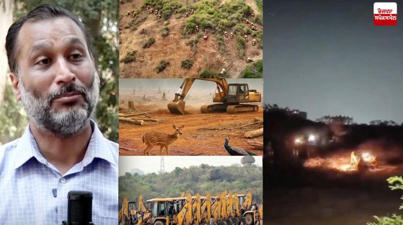 Man has destroyed the homes of birds and animals for his greed.