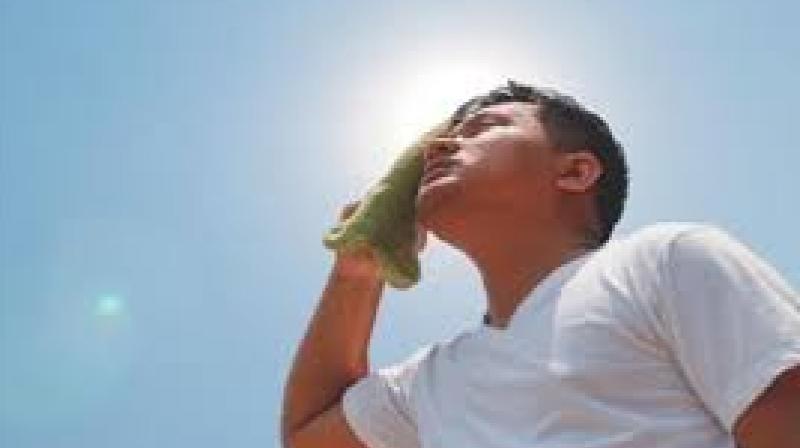 Health News: The risk of these diseases may increase in summer