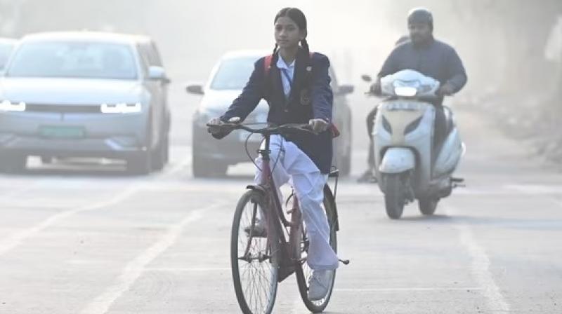 Amid 'very poor' air quality, Delhi schools and colleges reopen today