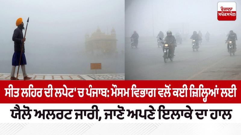 Dense Fog Alert over Punjab