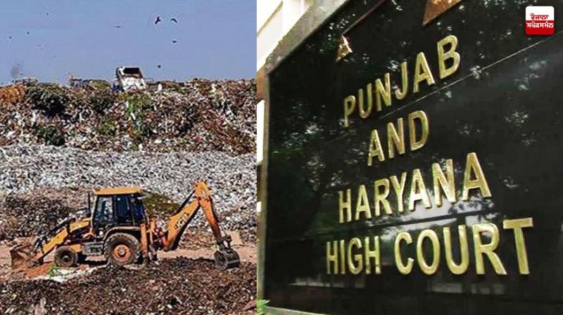 Punjab and Haryana High Court fines Chandigarh MC for delay in filing reply in Dadu Majra dump case