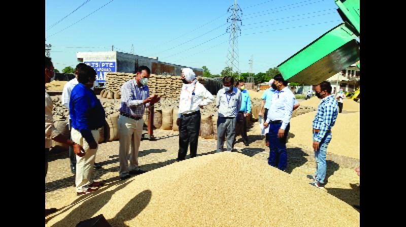 ਕੇਂਦਰੀ ਟੀਮ ਵਲੋਂ ਪਟਿਆਲਾ ਜ਼ਿਲ੍ਹੇ ਦੀਆਂ ਮੰਡੀਆਂ ਦਾ ਦੌਰਾ