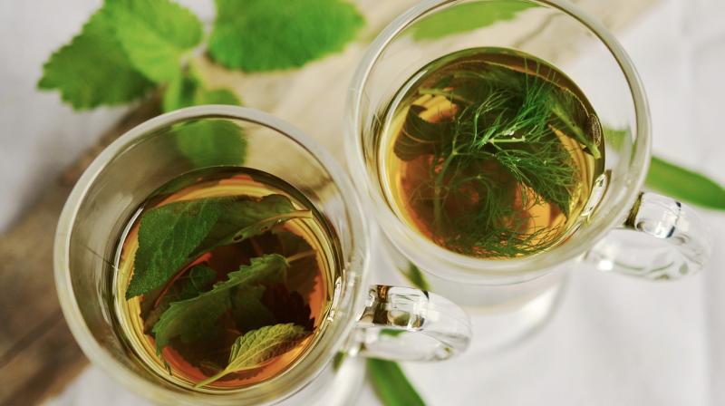 Boiled tea leaves are very useful for the body