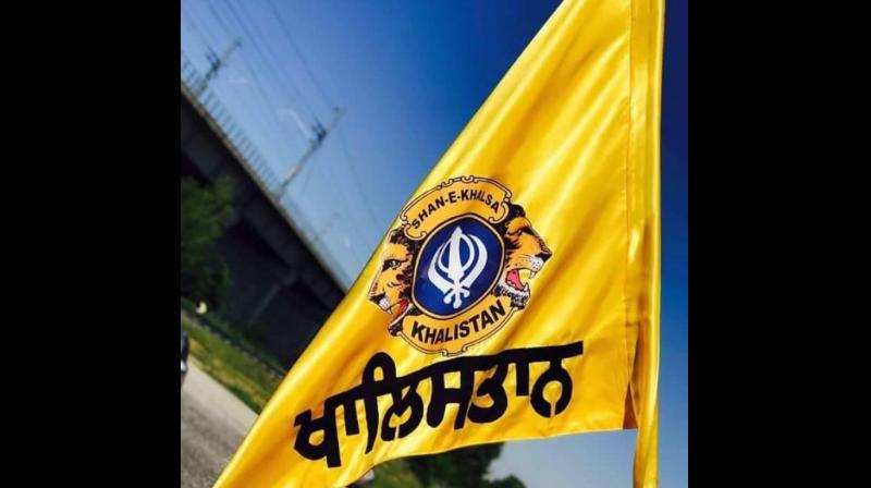 Khalistan flag