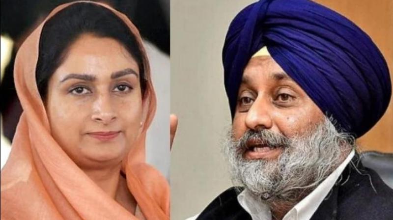 Harsimrat Kaur Badal and Sukhbir Singh Badal