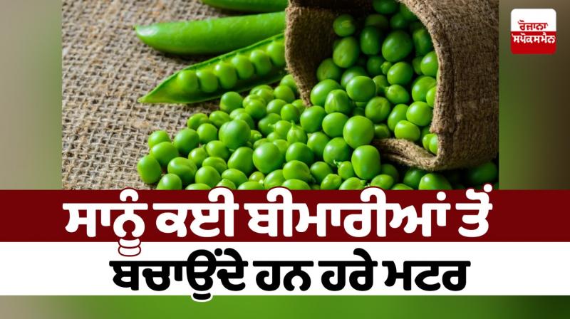 Green peas protect us from many diseases Health News