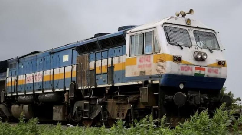  vigilant loco pilot stopped the freight train to save two lions