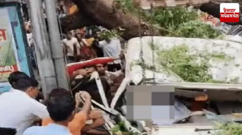 Tree fell on government school principal's car