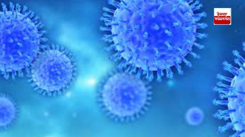 Hundreds of deadly virus samples missing from Australian lab, investigation continues