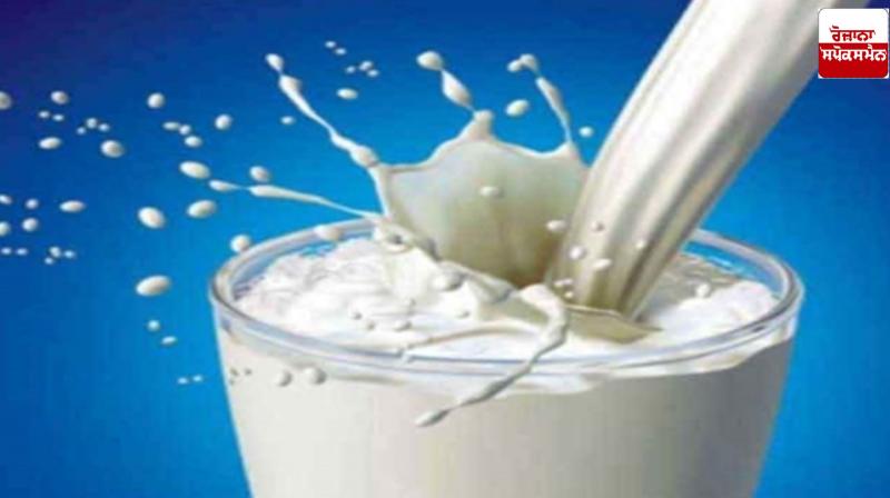 The sale of adulterated milk and milk products, the report revealed