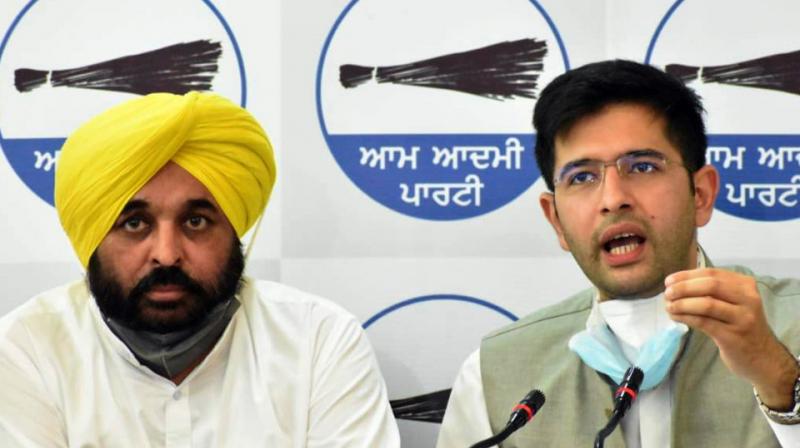 Bhagwant Mann and Raghav Chadha
