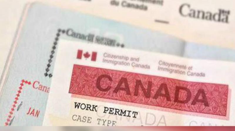 Canada Work Visa 