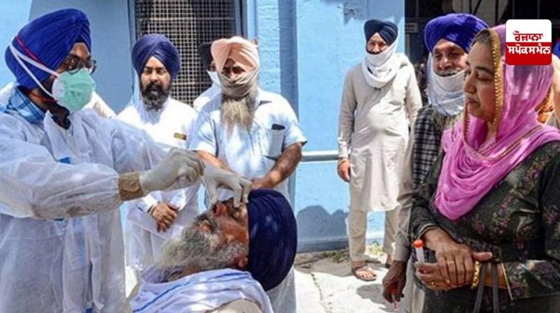 Punjab Corona cases News in punjabi 