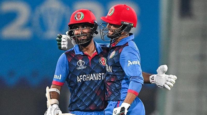 Cricket World Cup: Afghanistan defeated Netherlands by 7 wickets