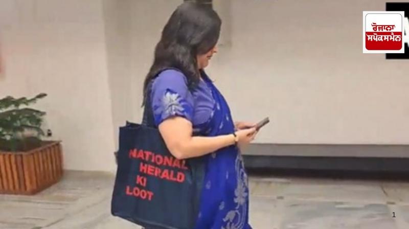 BJP MP Swaraj arrives at JPC meeting with bag inscribed 'National Herald loot'