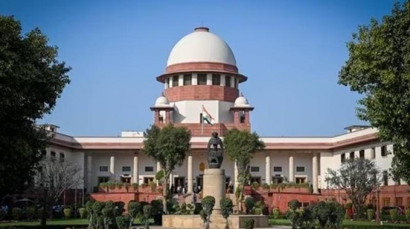 SC On Promotion News in punjabi 