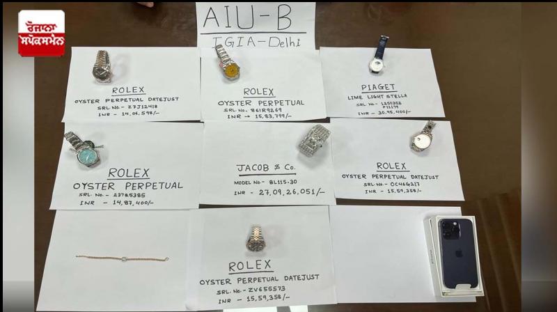 Delhi Customs seizes seven expensive wristwatches from passenger