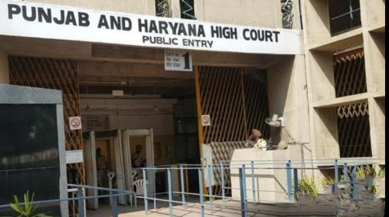  Punjab and haryana high Court