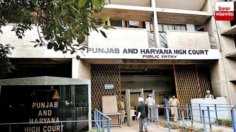 Punjab Haryana Highcourt News