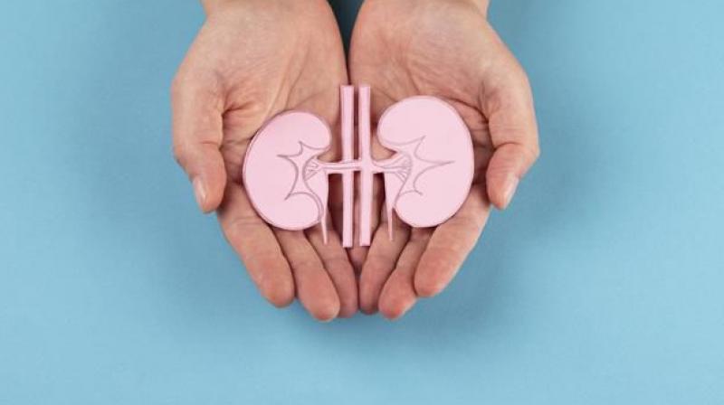 The son donated his father's organs Patiala News in punjabi 