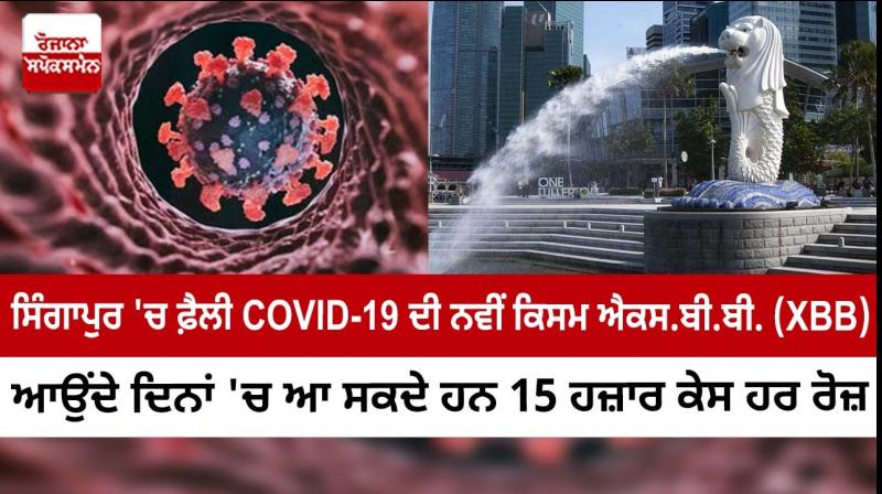 Covid's XBB wave in Singapore likely to peak at 15,000 daily cases by mid-