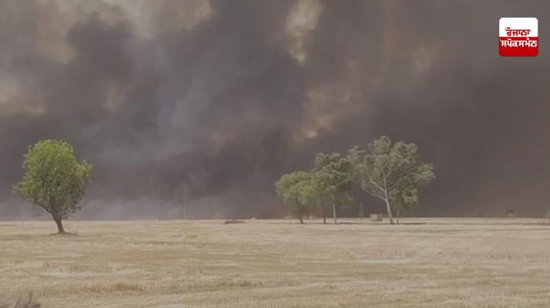 ਦੂਜੇ ਦਿਨ ਵੀ ਹਲਕਾ ਗੁਰੂਹਰਸਹਾਏ ’ਚ ਕਣਕ ਦੇ ਨਾੜ ਨੂੰ ਲੱਗੀ ਅੱਗ