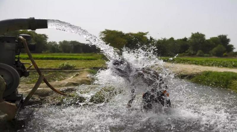 Use of underground water in Punjab is the highest in the country: Report