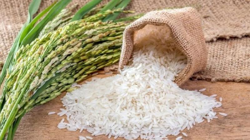 India's basmati success now Pakistan's new label