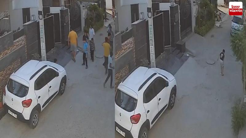 Jalandhar Stray dog ​News in punjabi 