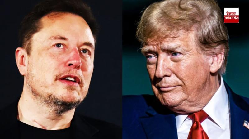 Elon Musk and Donald Trump 