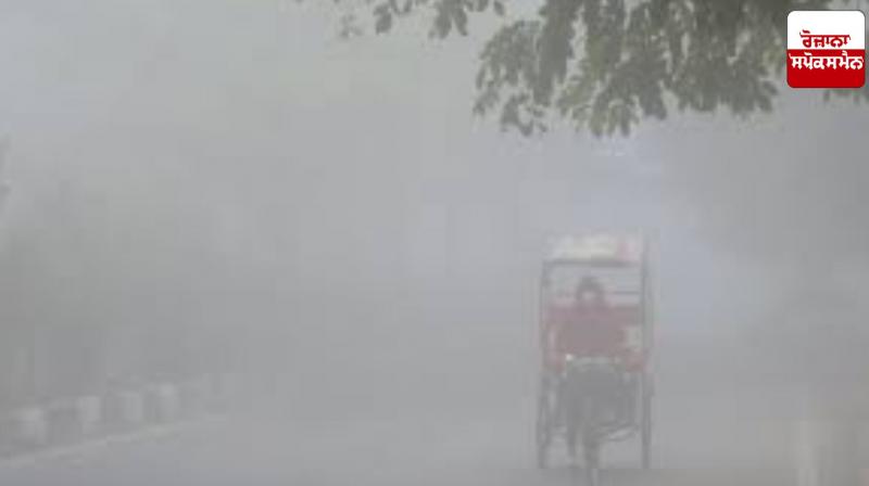 Dense fog in Punjab and Haryana, cold wave continues in most parts of the state