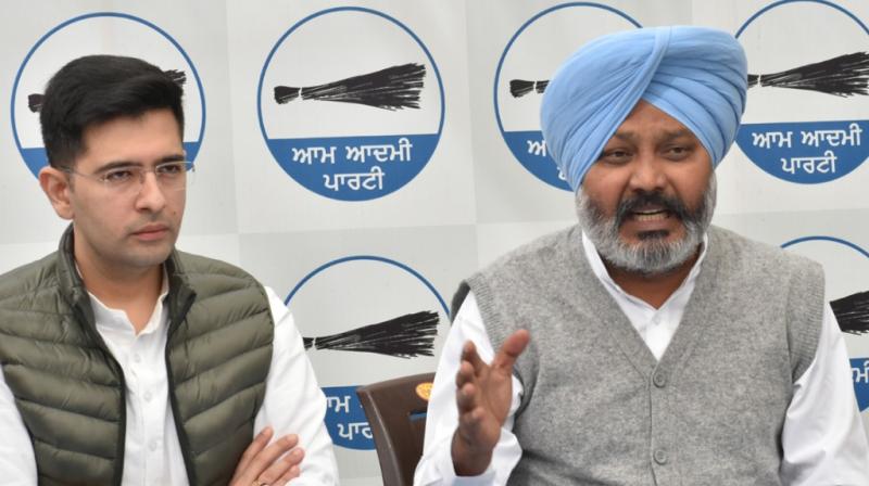 Harpal Cheema and Raghav Chadha