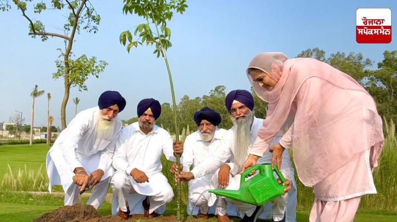 Punjab News: Five-member recruitment committee starts planting saplings under the order
