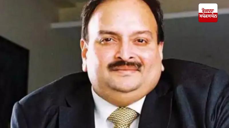 PNB loan scam accused Mahol Choksi arrested in Belgium