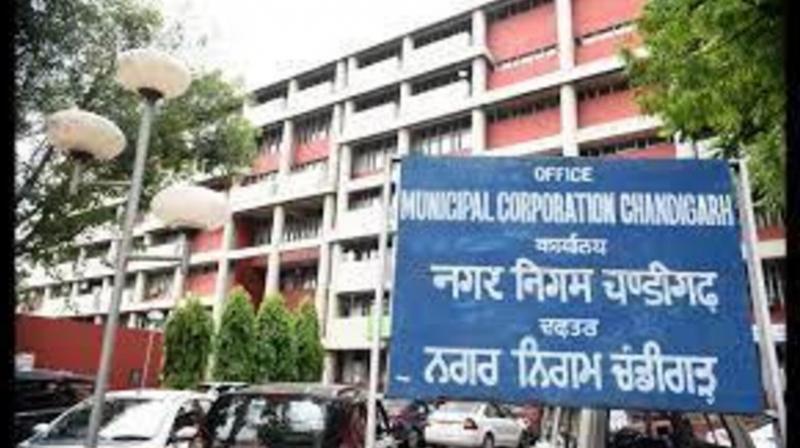 chandigarh coporation 