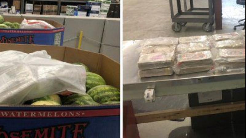 Indian-origin truck driver admits trafficking nearly 30 kg of cocaine into Canada