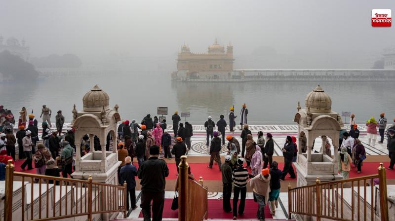 punjab weather update