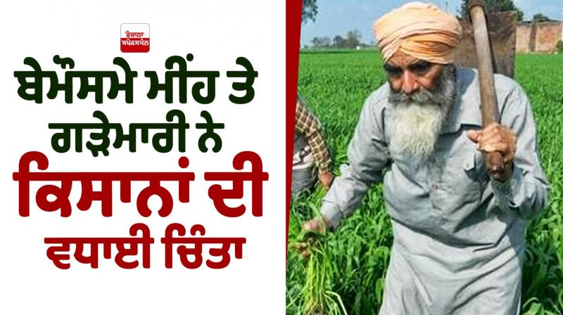 Unseasonal rain and hail have raised the concern of farmers News