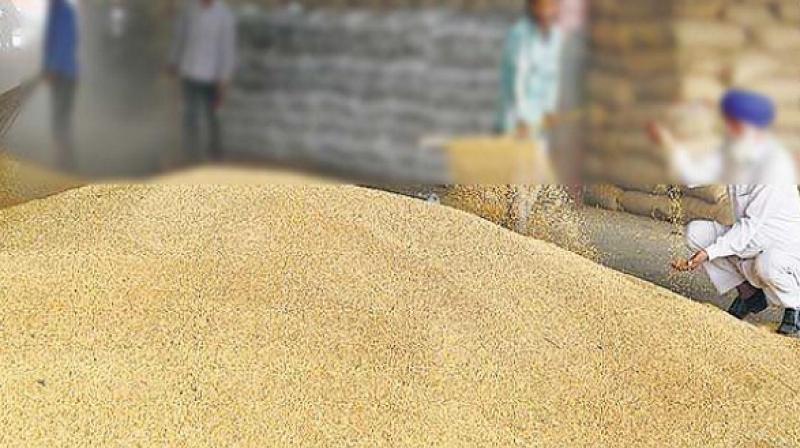 corona peace in delhi 