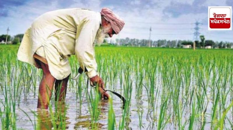 85 lakh farmers left farming from 2001 to 2011, 1.3 lakh of them from Punjab